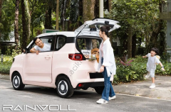 RAINWOLL RW10 ELEKTRİKLİ ARAÇ