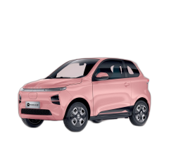 RAINWOLL RW20 ELEKTRİKLİ ARAÇ