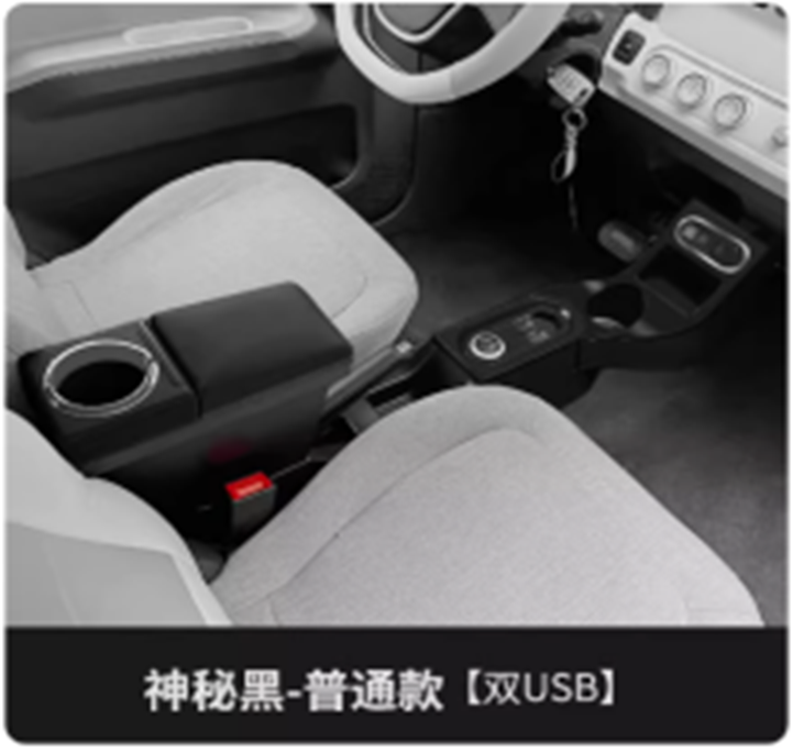 RAINWOLL RW10 KOL DAYAMA CİFT USB MINI TASARIM SİYAH